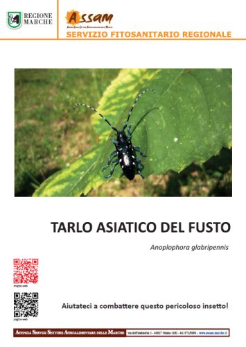 Brochure Tarlo 01