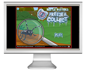freezegame screen